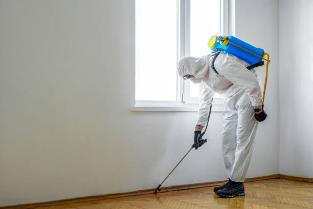 Best Residential Pest Control  in Peoria Heights, IL